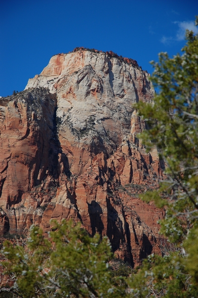 Zion National Park Bindlestiff Tours Zion Day Tours