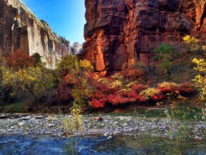 Zion National Park Tour Towering red Navajo Sandstoen cliffs of Zion National Park