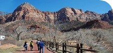 Zion Day Tour