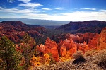 Bryce Canyon walking tours