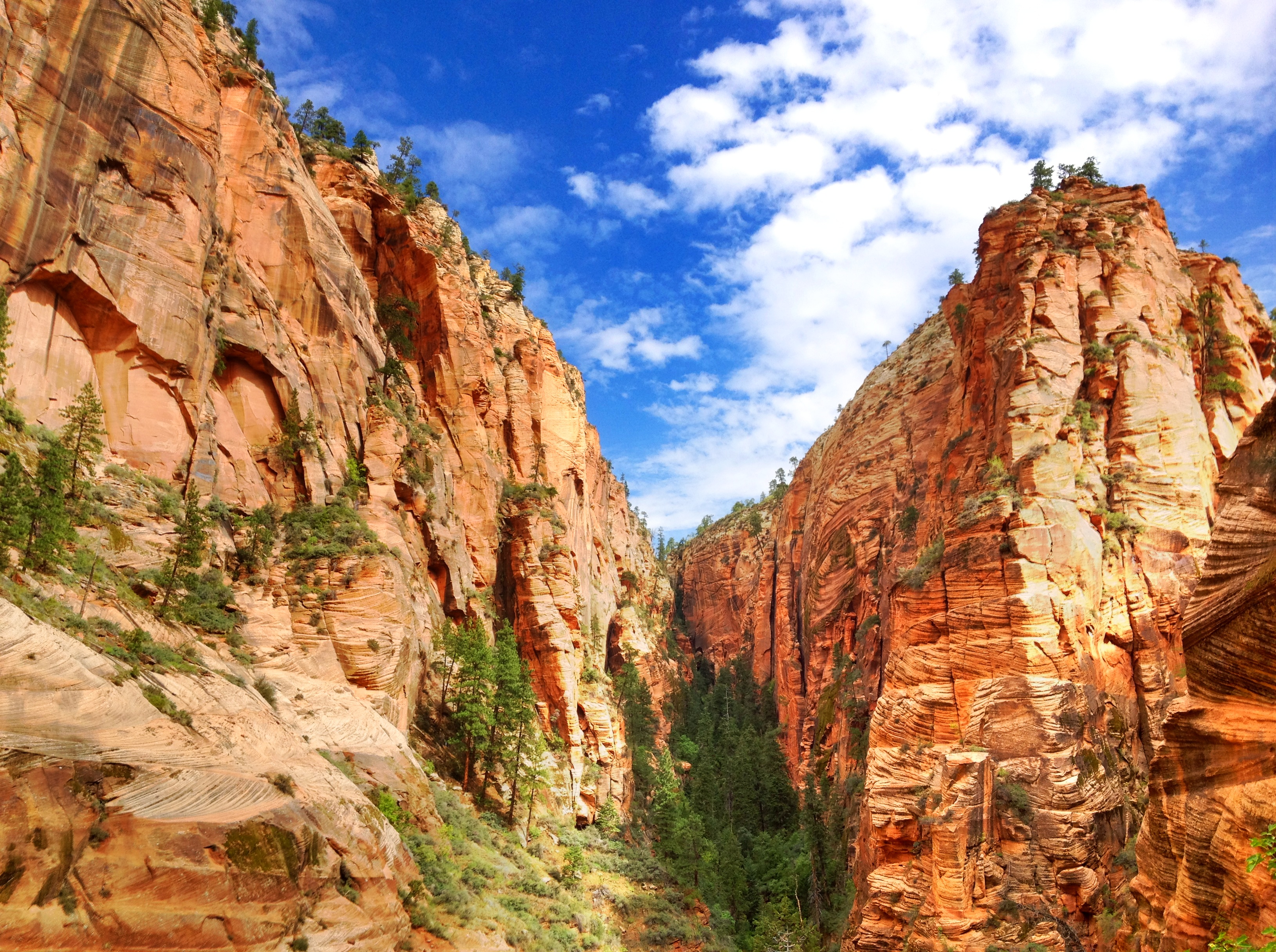 National Parks Winter Tour - Grand Canyon Zion and Monument Valley