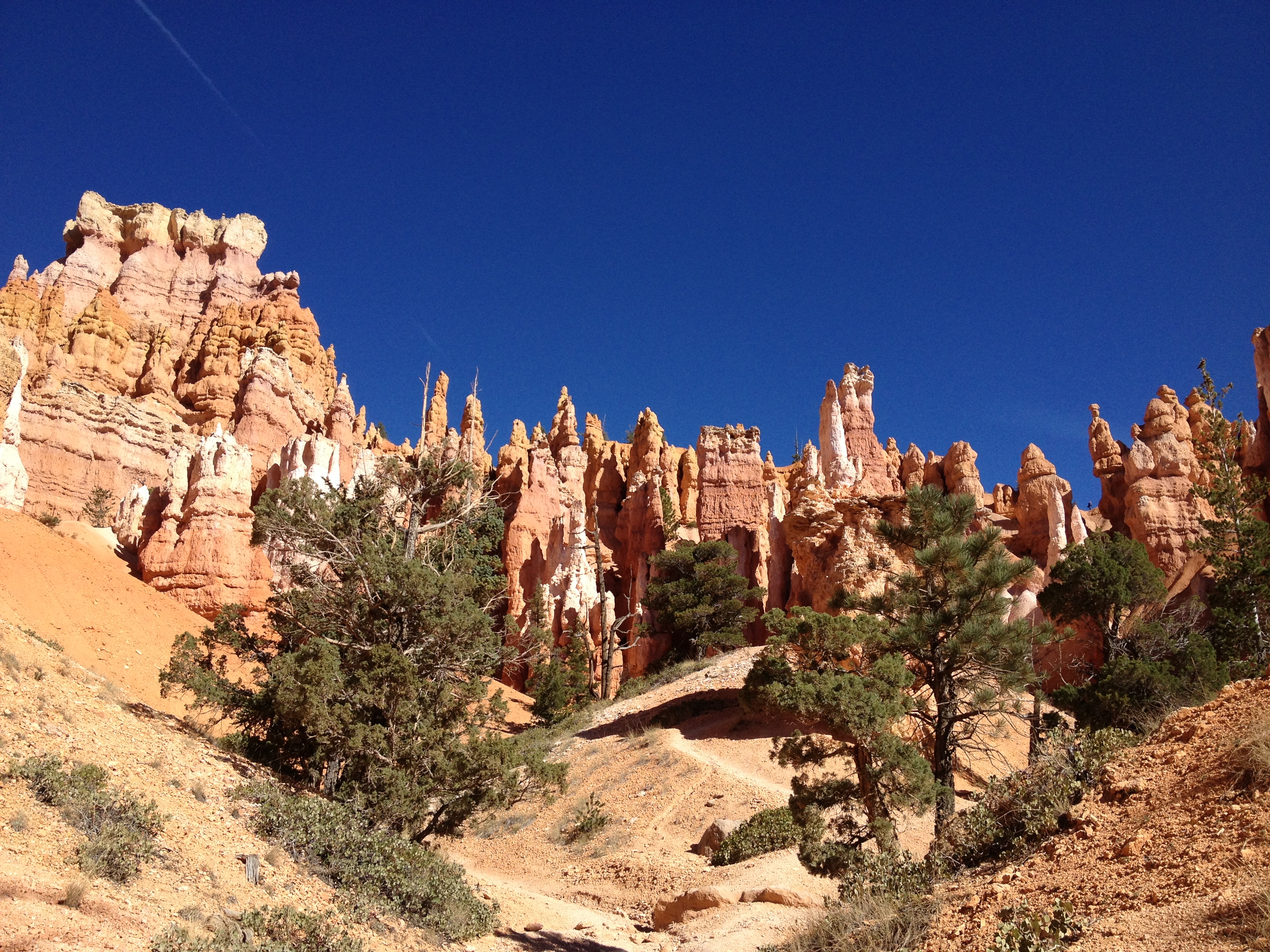 Bryce Amphitheatre Hoodoos