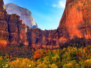 Zion tours