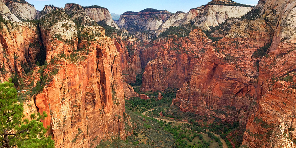 Zion Zion