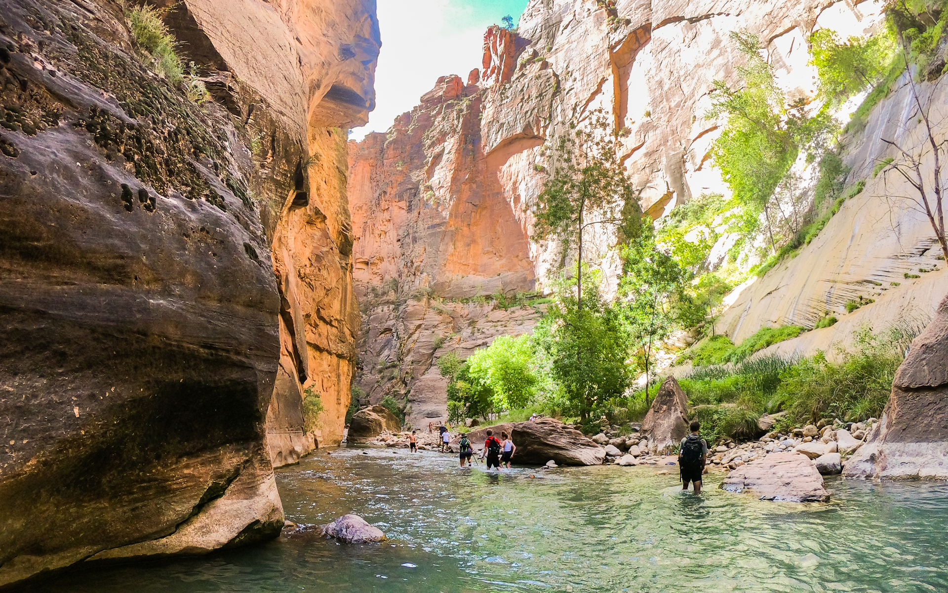Private Zion day tour from Las Vegas