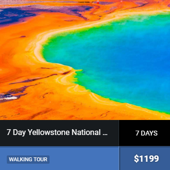 7dayyellow