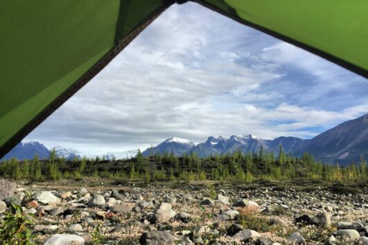 Alaska Salmon Run 20 Days