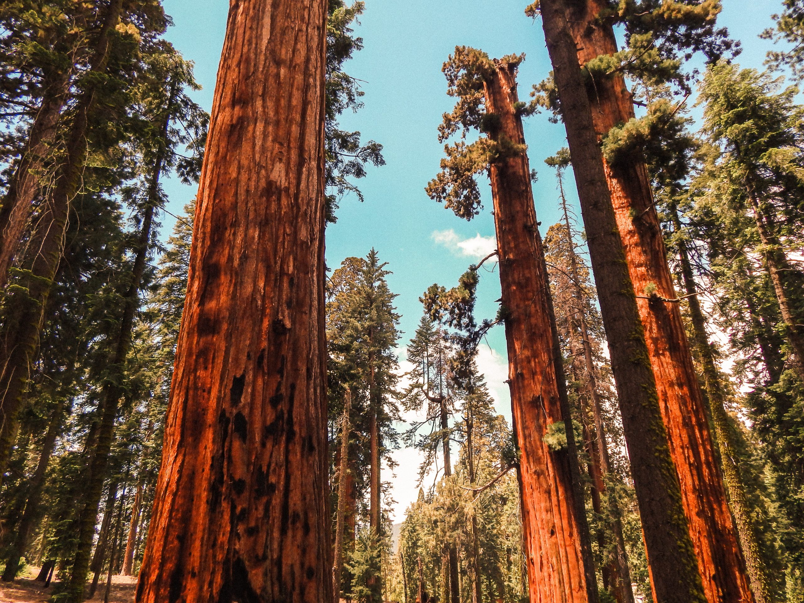 Yosemite in depth from San Francisco