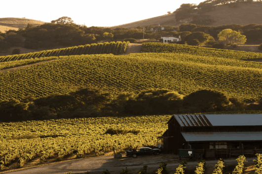 5 day California Coastlines and Vineyards, Waves and Wine small group tour