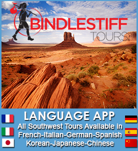 language app